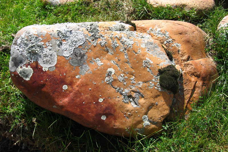 甘孜州的奇石沟 6.JPG