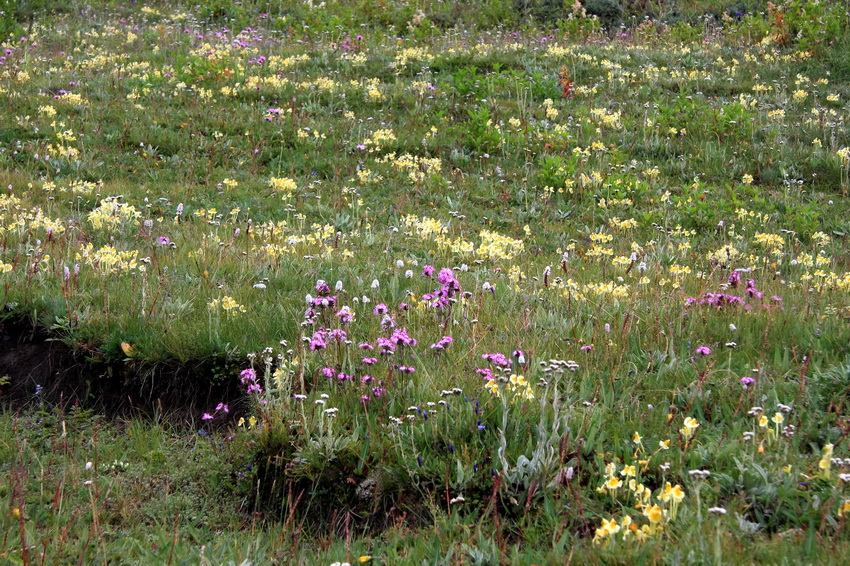 IMG_8012_调整大小.JPG