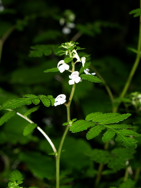 P6302748_调整大小.JPG