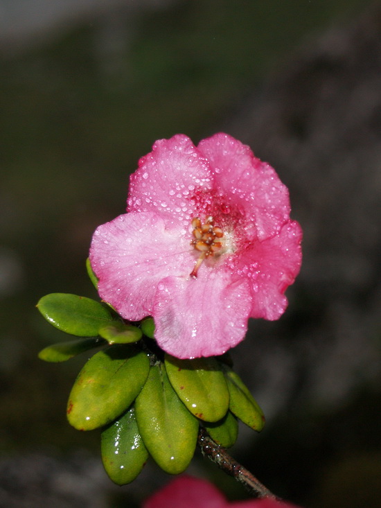 P4238268_调整大小.JPG