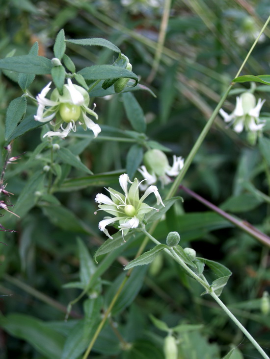 P9200103_调整大小.JPG