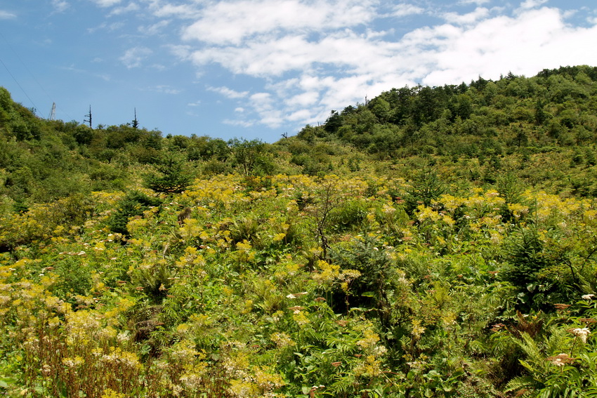 P8167985_调整大小.JPG