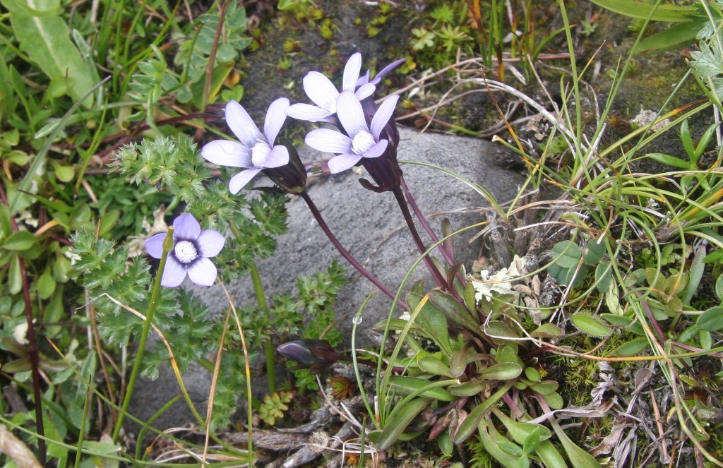 照片 2392.jpg