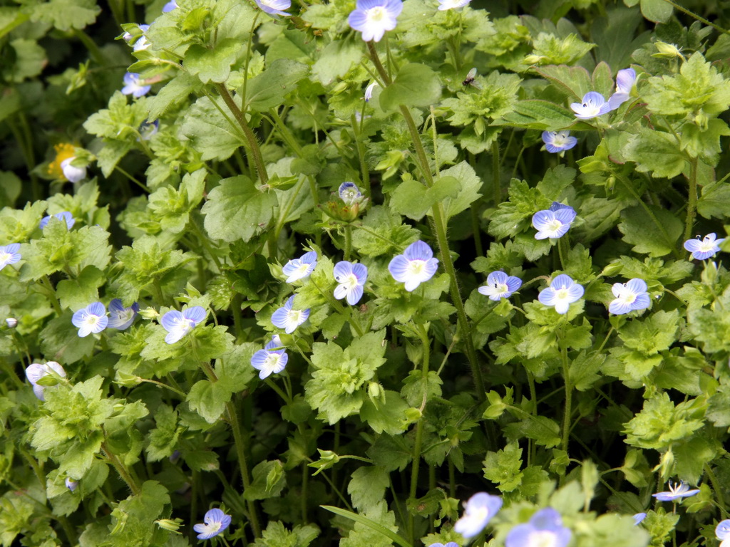 IMG_0075_调整大小.JPG
