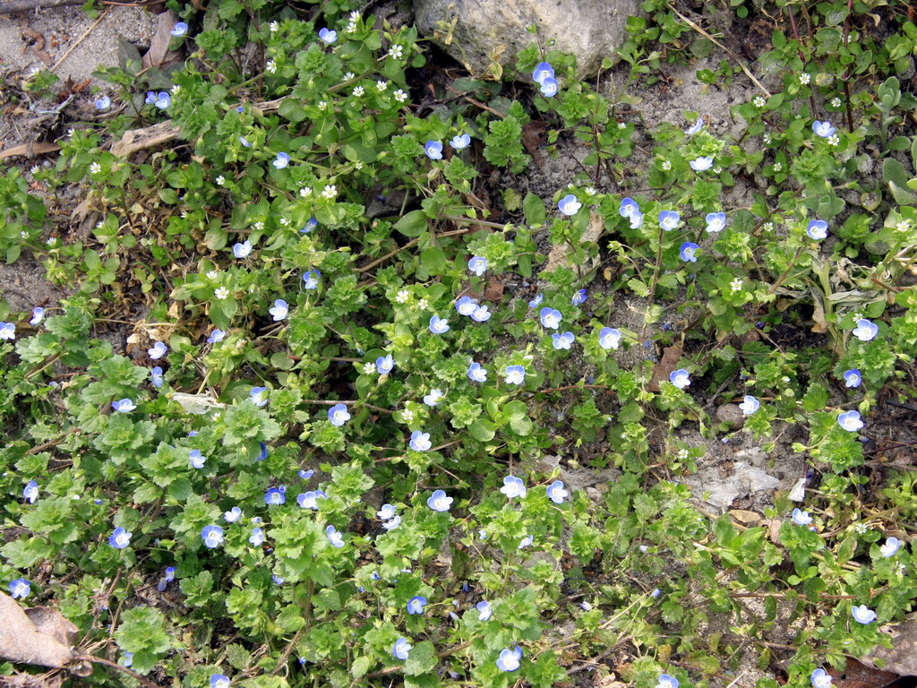 IMG_0207_调整大小.JPG