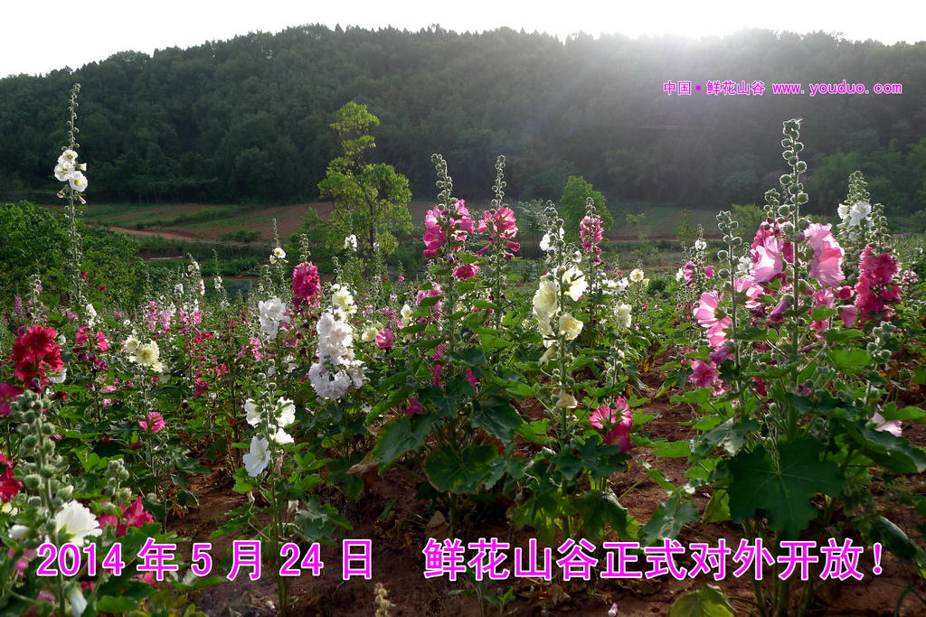 P1220053_调整大小.JPG