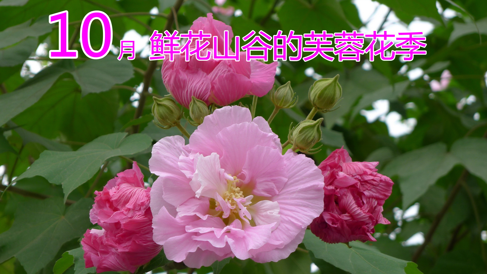 9_调整大小.JPG