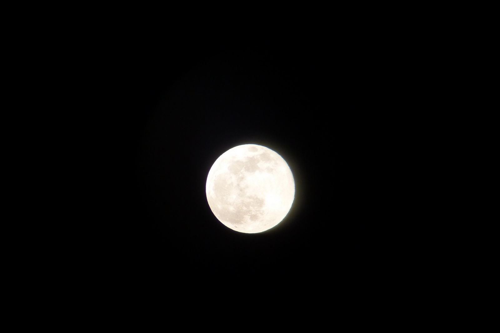 P1850127_调整大小.JPG
