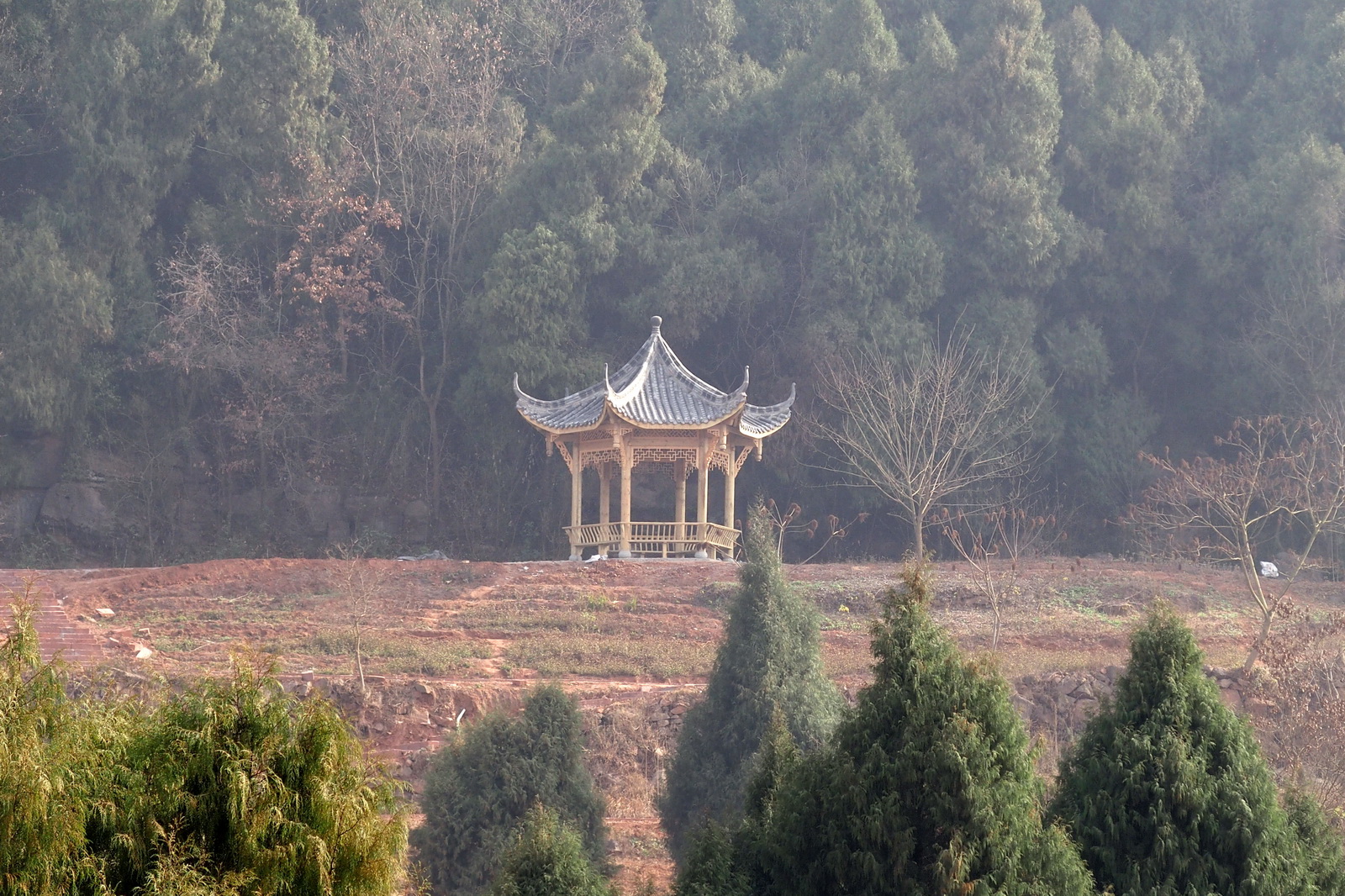 P1290024_调整大小.JPG